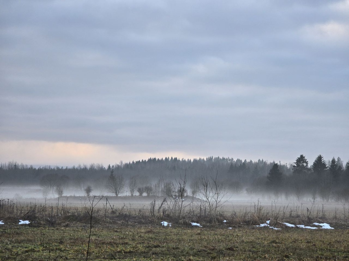 За окном декабрь месяц. +5 и туманы