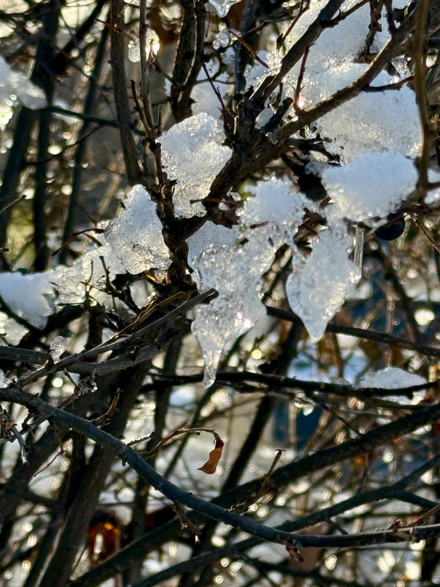 Личное фото