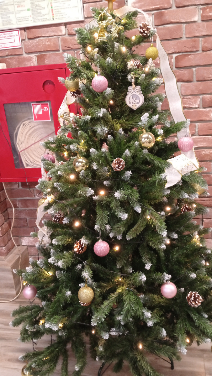 Ёлка. Фото автора.