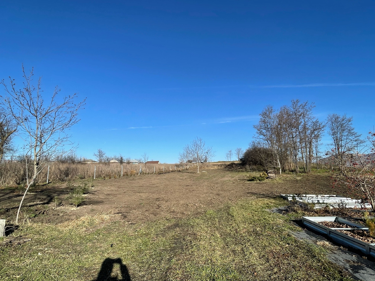 Участок после выравнивания