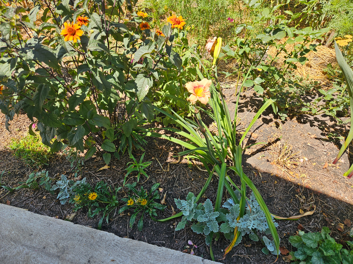 В середине июня в полутени