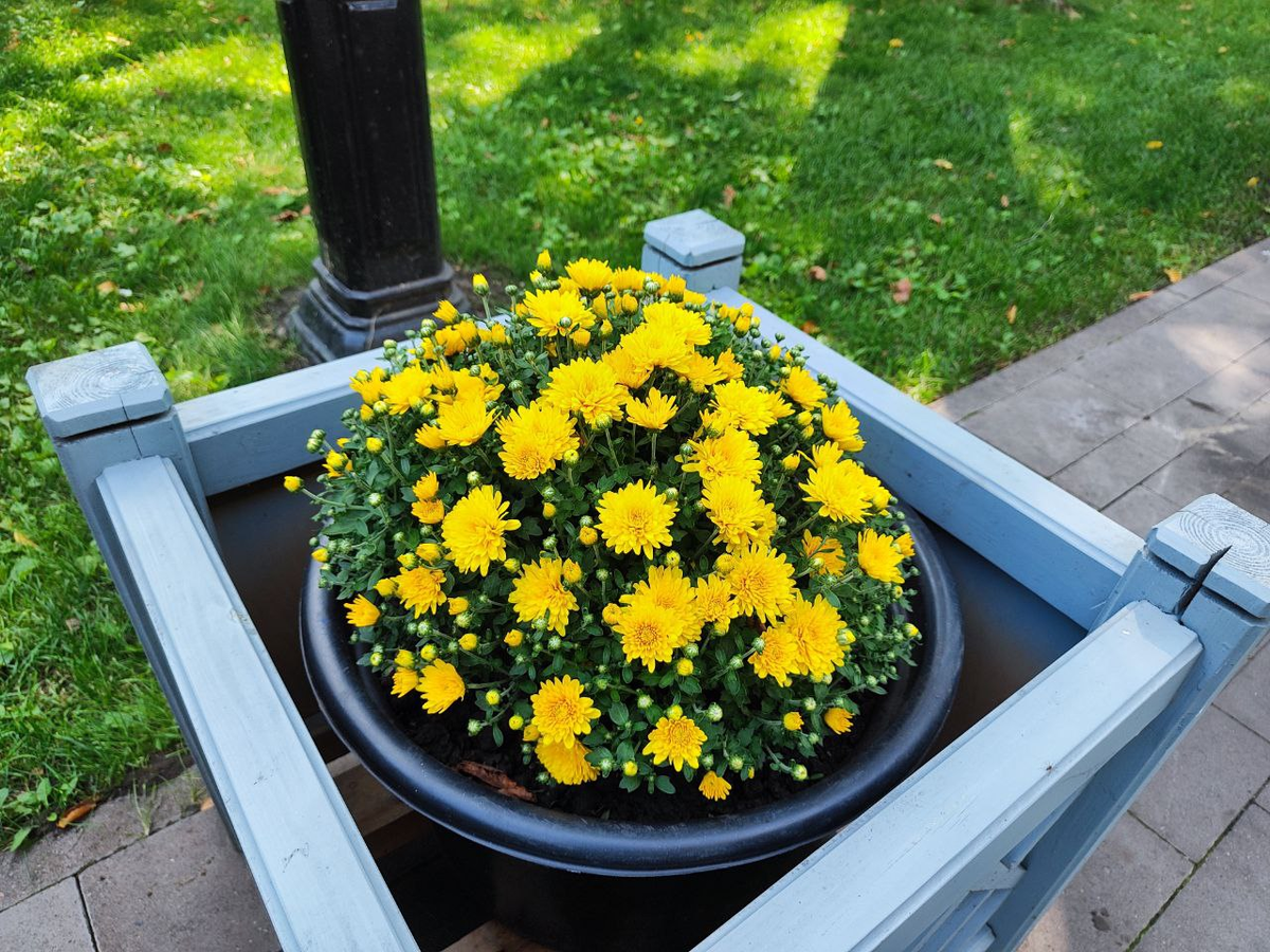 Фото автора.