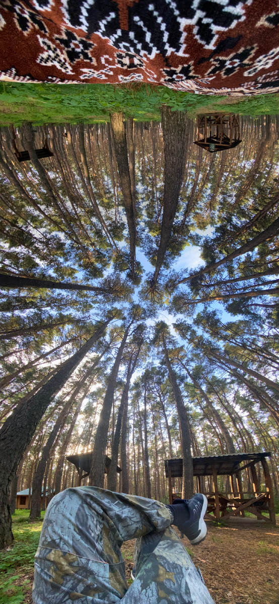 Чем не американская мечта? Только не в Майами и не с пальмами. Фото из личного архива автора © 2025 год