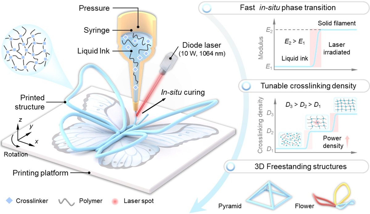 In situ лазерно-индуцированная (ISLI) прямая 3D-печать отдельных термореактивных устройств. Слева: Интегрируя лазер диаметром 1 064 нм, сосредоточенный на полимерном струйном лазере для отверждения in situ, можно строить 3D-конструкции без вспомогательных материалов. Справа: лазерно-индуцированный фототермальный эффект значительно увеличивает модуль Юнга (верх) и настраивает плотность перекрёстного звена (середина), обеспечивая быстрый переход жидкости в твёрдое тело, программируемые механические и электрические свойства, а также сложные неподдерживаемые структуры (снизу).