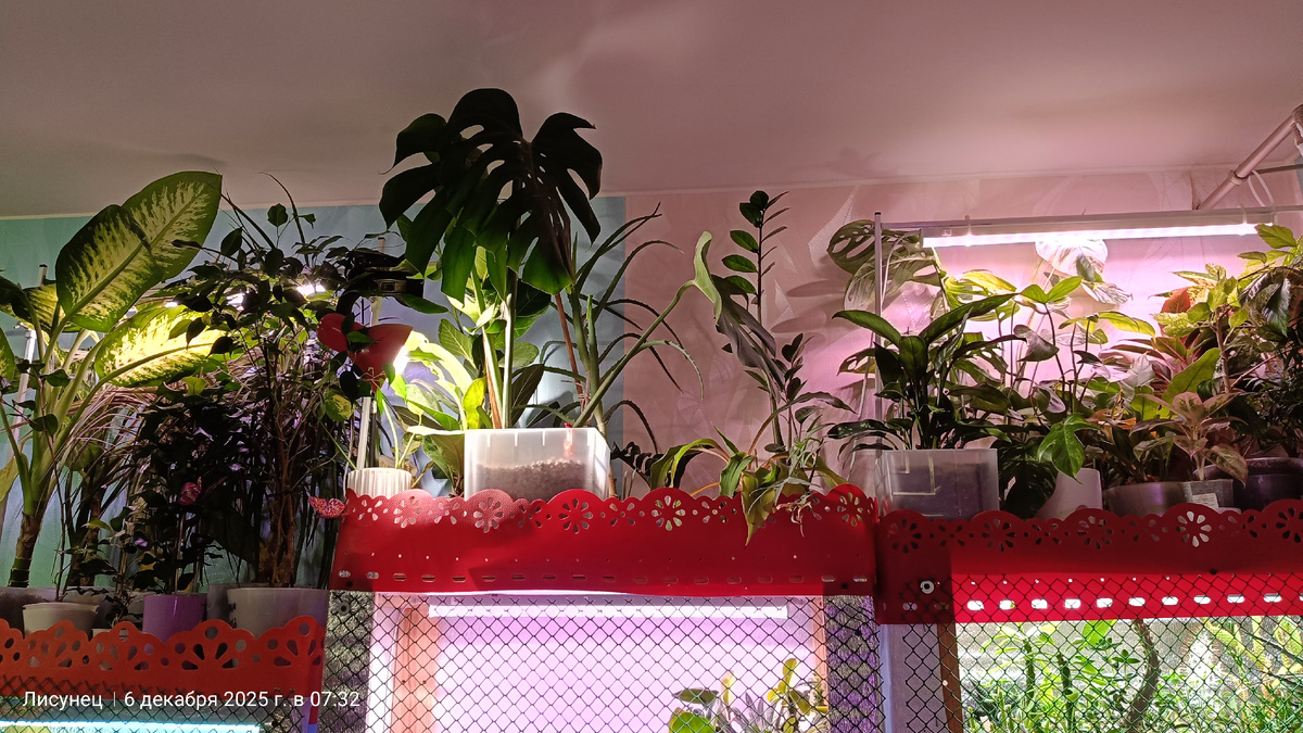 Фото автора.