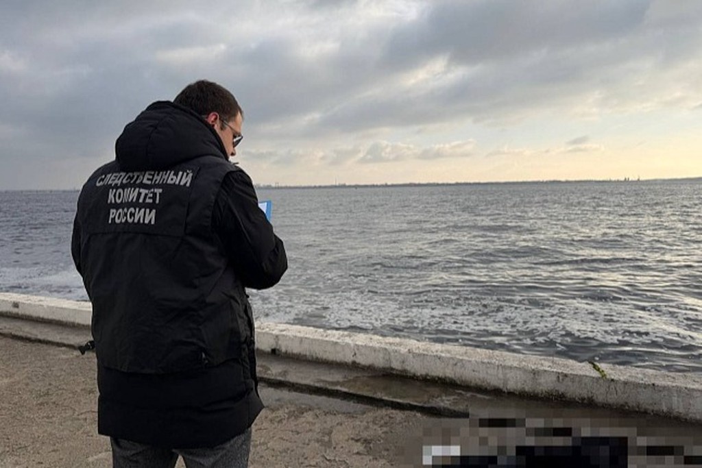    Фото © СУ СК России по Саратовской области