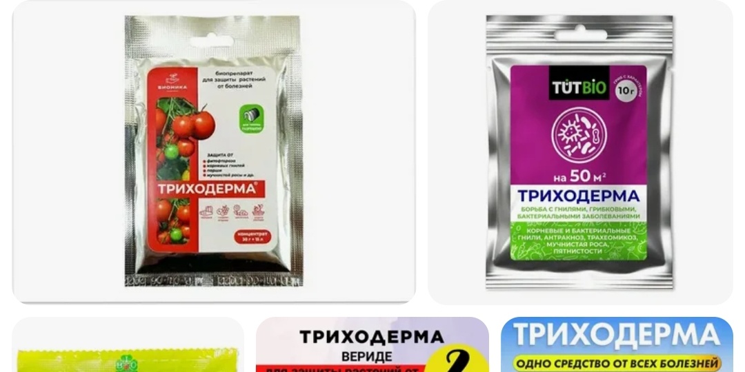 Какую выбрать триходерму. Про это вам нигде не расскажут
