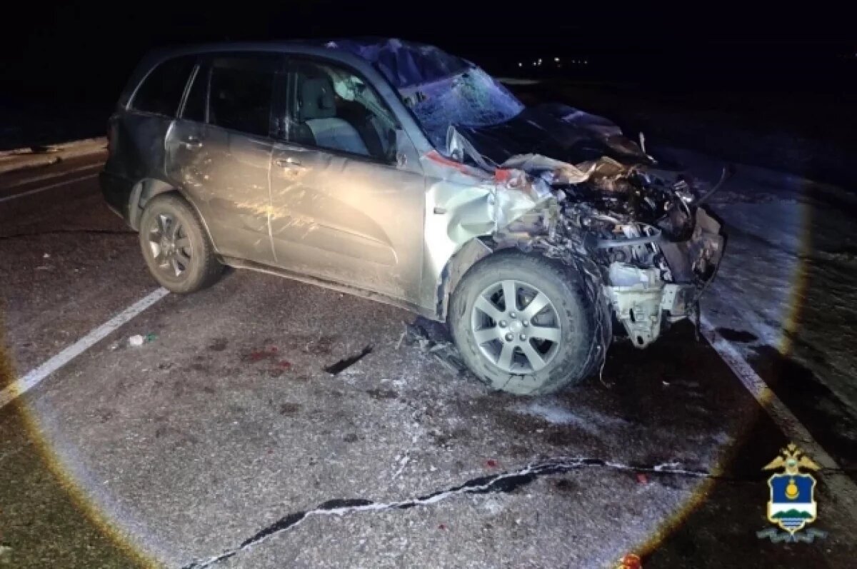    Два человека пострадали при столкновении иномарки с лошадью в Бурятии