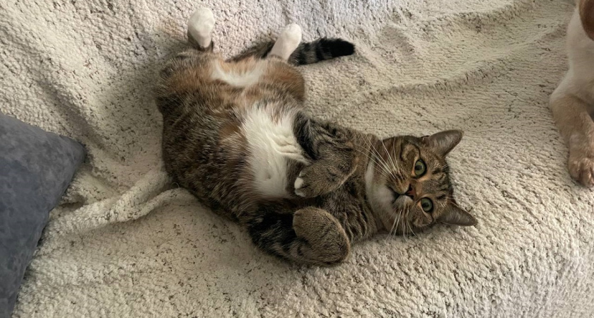    фото из архива редакции