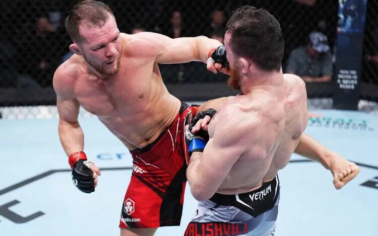    Источник фото: UFC