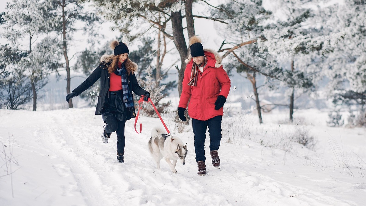    Опасности питомца поджидают не только летом, но и зимой