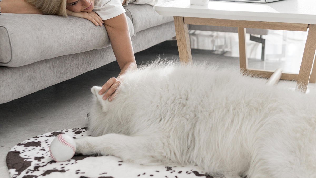    Если ваша собака начала набирать вес зимой, стоит проконсультироваться с ветеринаром
