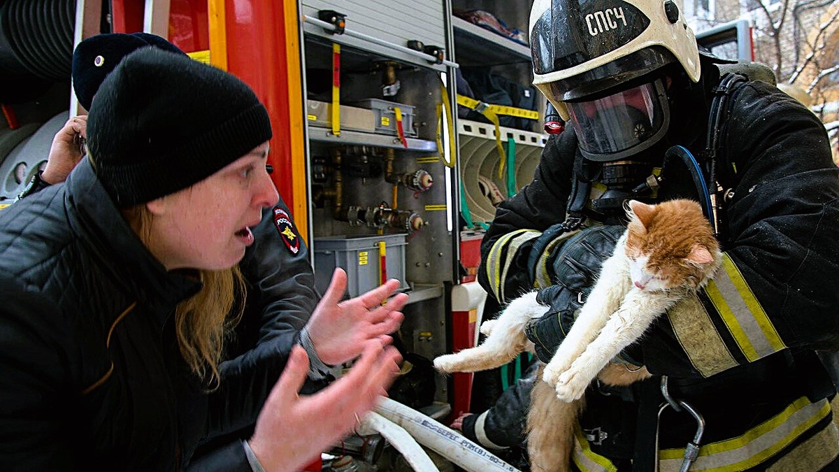 г.Волгоград. Пожарные реанимируют кота на глазах у рыдающей хозяйки. Еще фото --->>