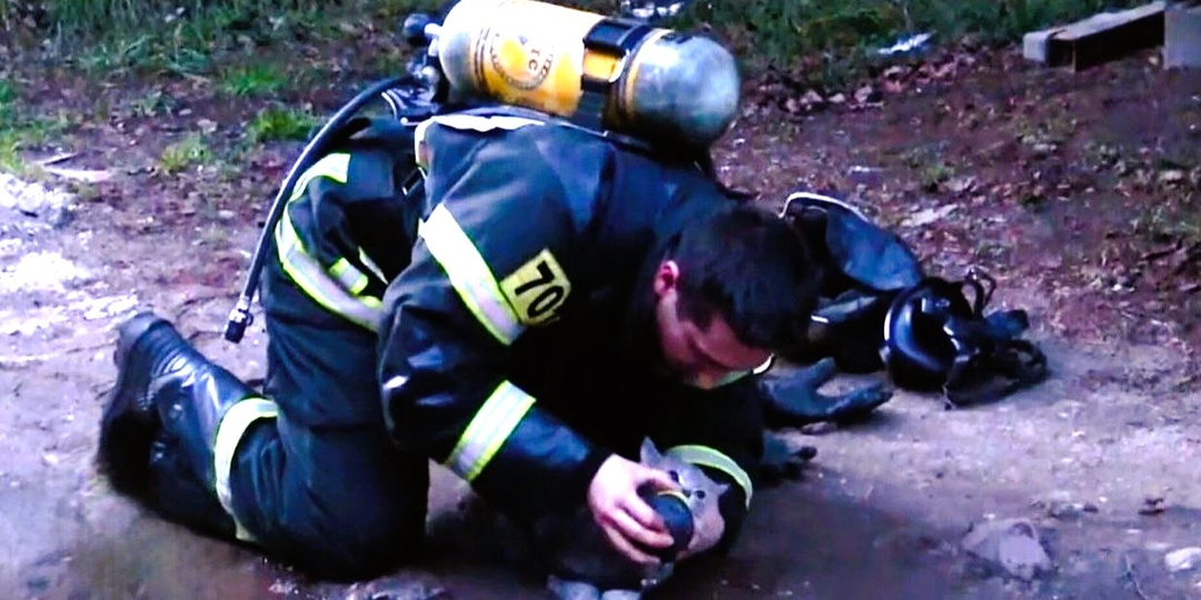 Каждая жизнь ценна: действия пожарных, когда животные в опасности (реальные истории с фото)