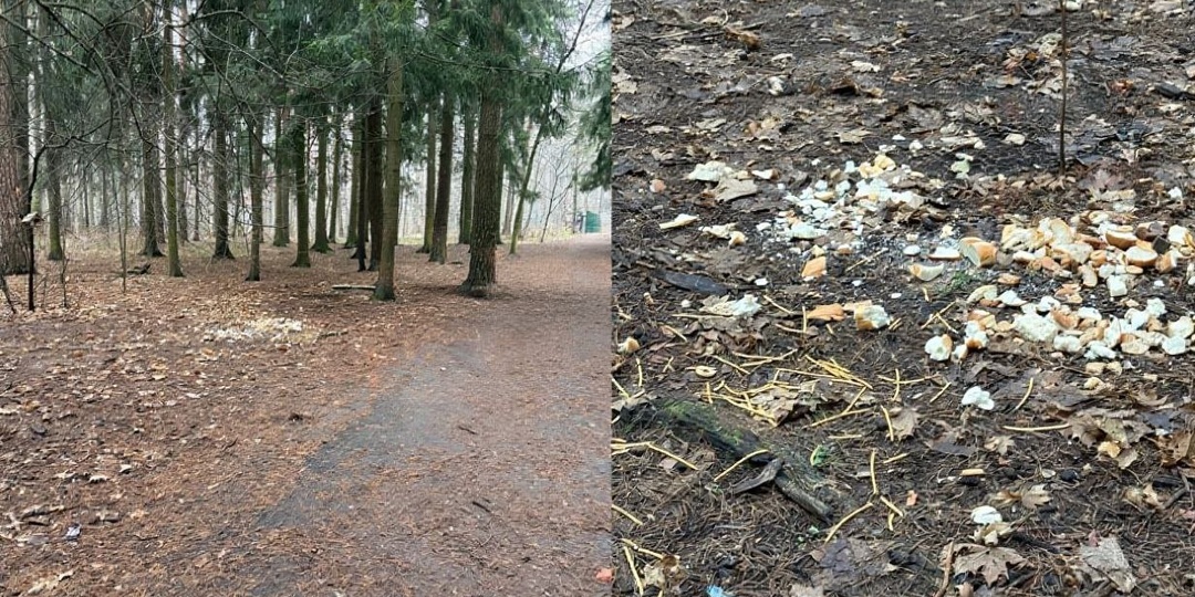 Вот что у нас творится в Пестовском парке