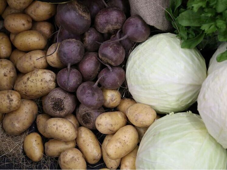     Фото из архива МК