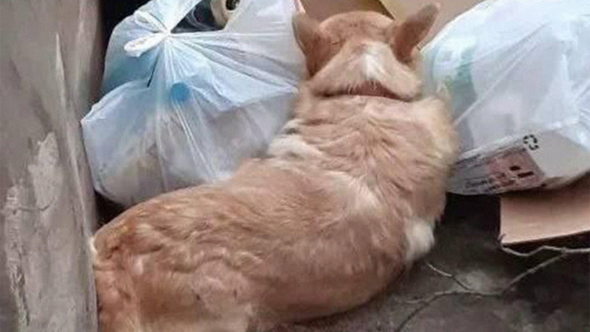   Фото очевидицы Ирины