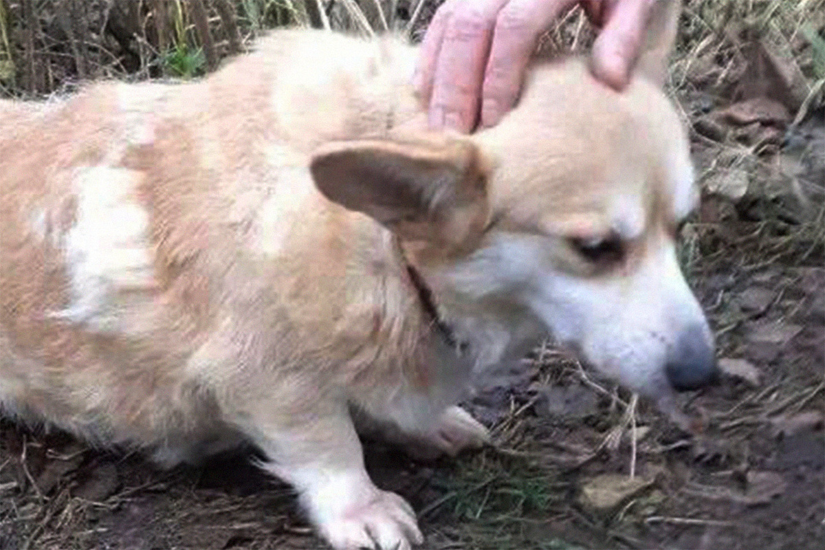    Фото очевидицы Ирины