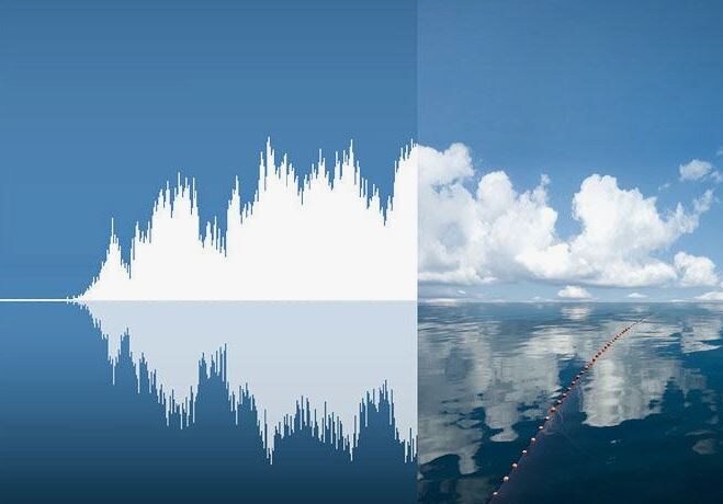 фото из отрытых источников