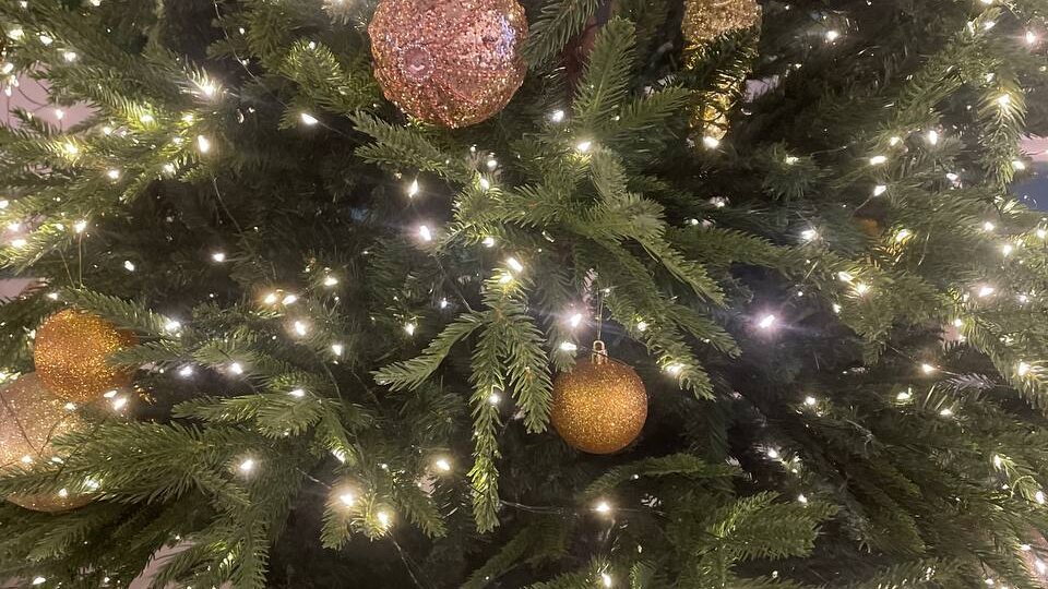 Очень хочется снега снежного безбрежного