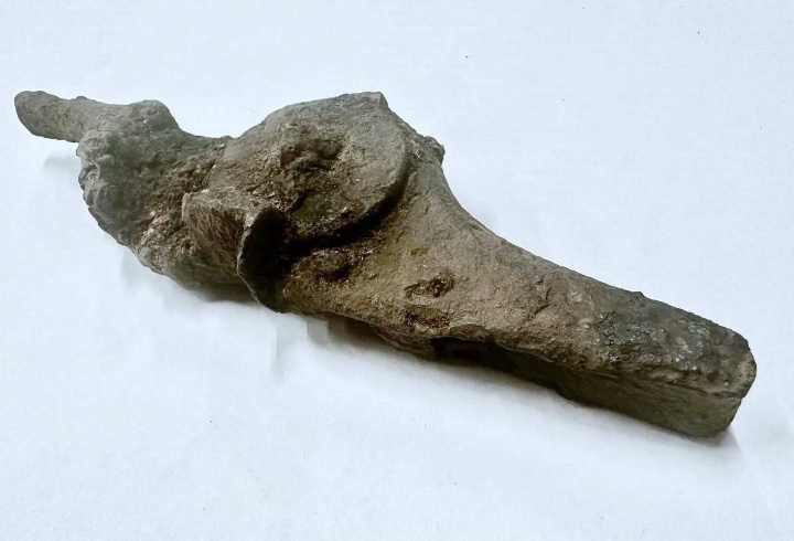 фото: пресс-служба администрации Ленобласти