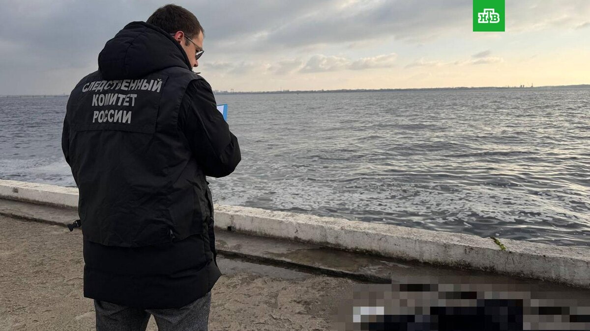    Фото: @su_skr64 / t.me