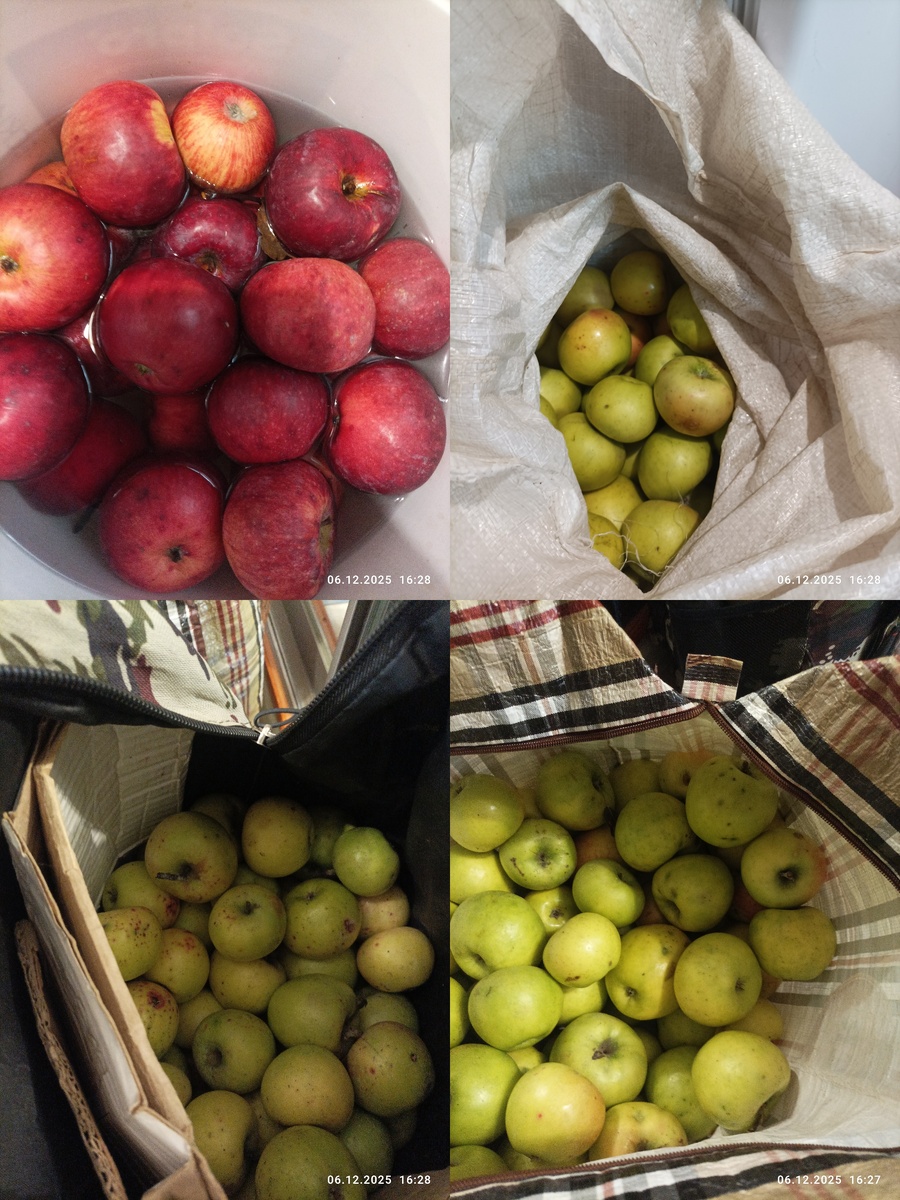Дабы не нагружать пост однотипными фото, сделала коллаж. В коллаж не вошли еще три сумки. В целом количество яблок чуть больше мешка. 
