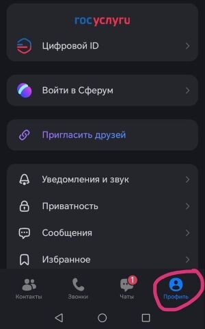 Откройте Max и перейдите в профиль