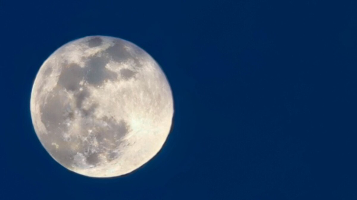    Фото: Андрей Ткачев/«Ямал-Медиа»