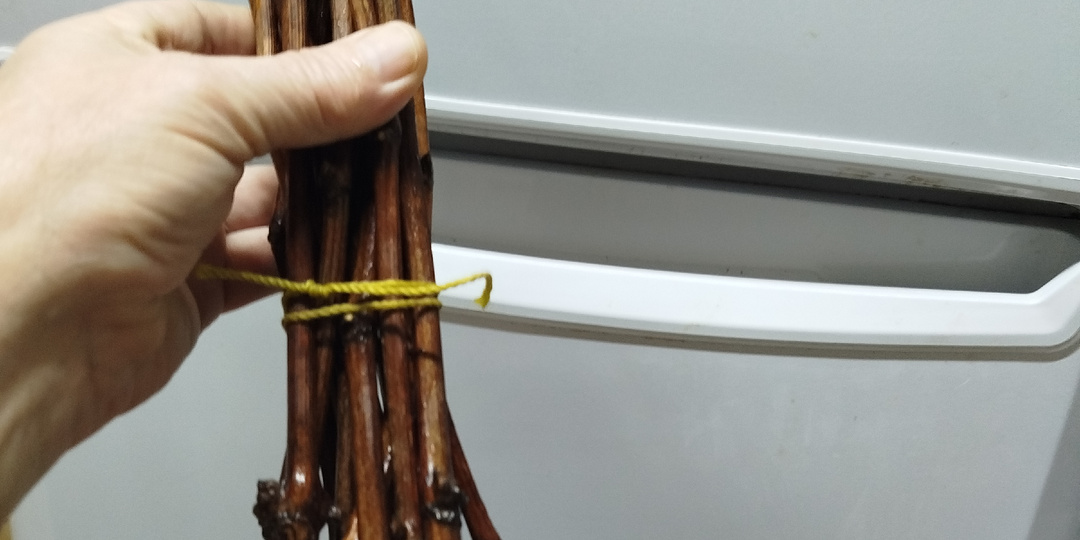 Открываем сезон по выращиванию саженцев ягодных и декоративных растений.