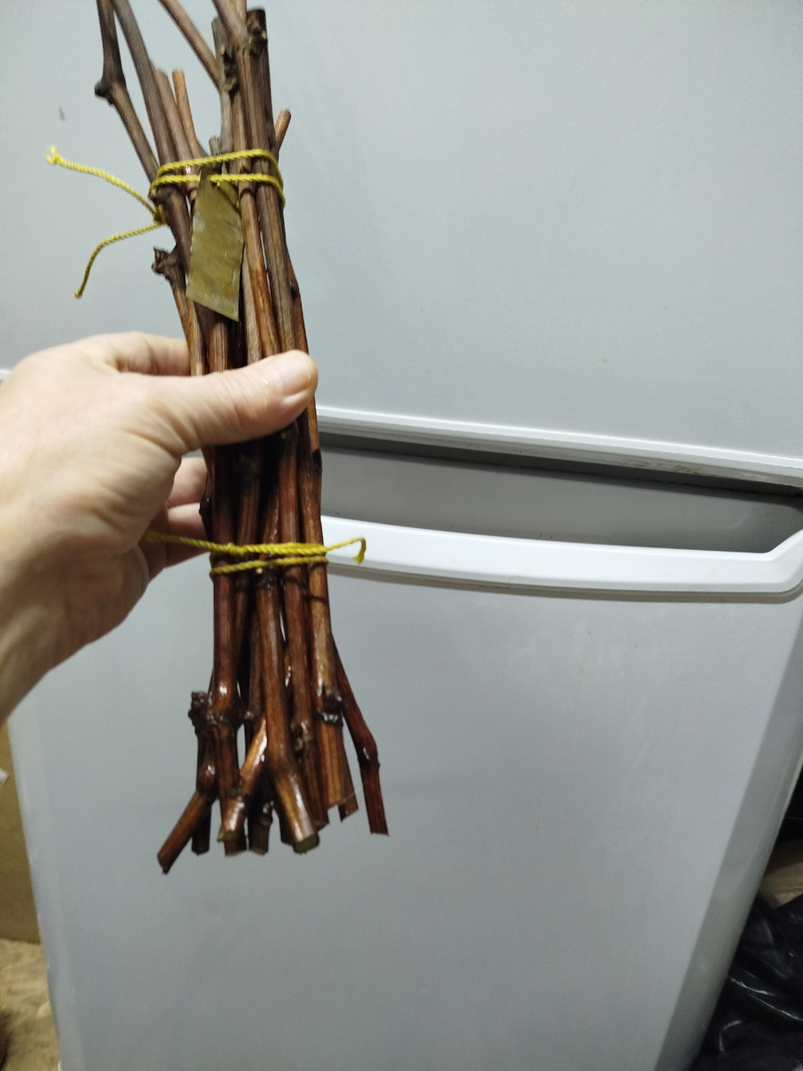 Бирки из латунной фольги.