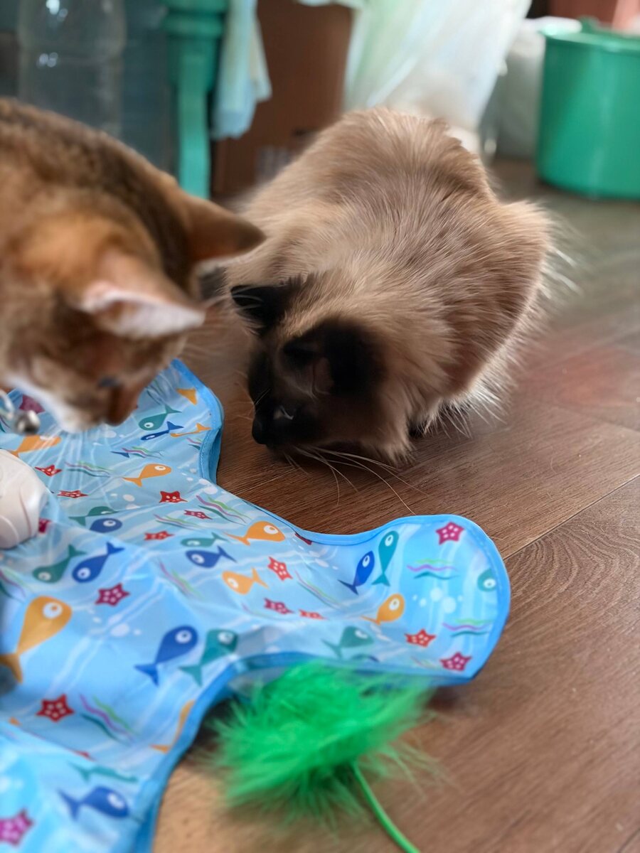 Два охотника. 