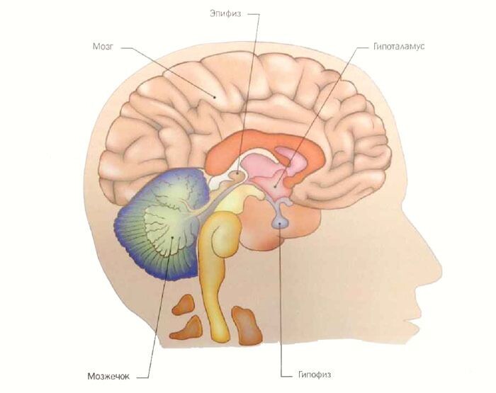 Рис. из открытых источников 