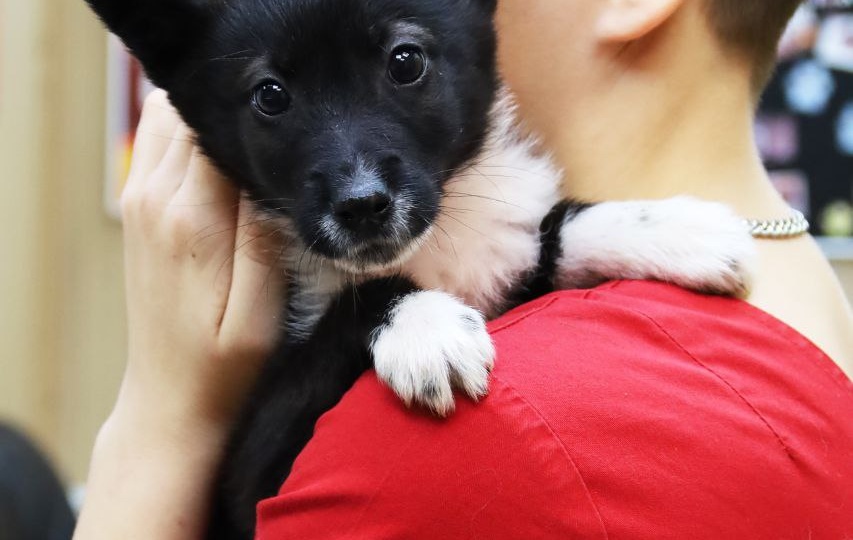 Он не просит многого... лишь быть нужным. Подарите Юнге будущее!