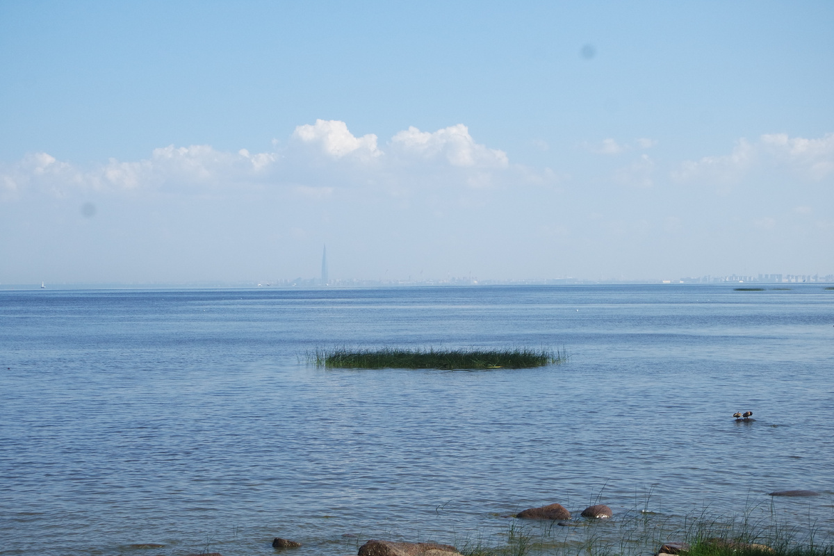 вид на конус Лахта-центра - то есть на противоположный берег залива, где Приморское шоссе и совсем другая история...