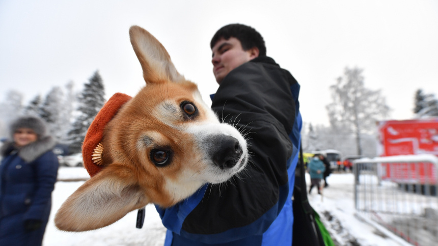    Фото: www.globallookpress.com/ Komsomolskaya Pravda