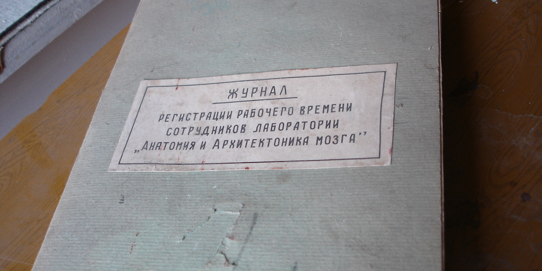 Мозг Ленина и мозг Сталина - уничтожены или спасены..?