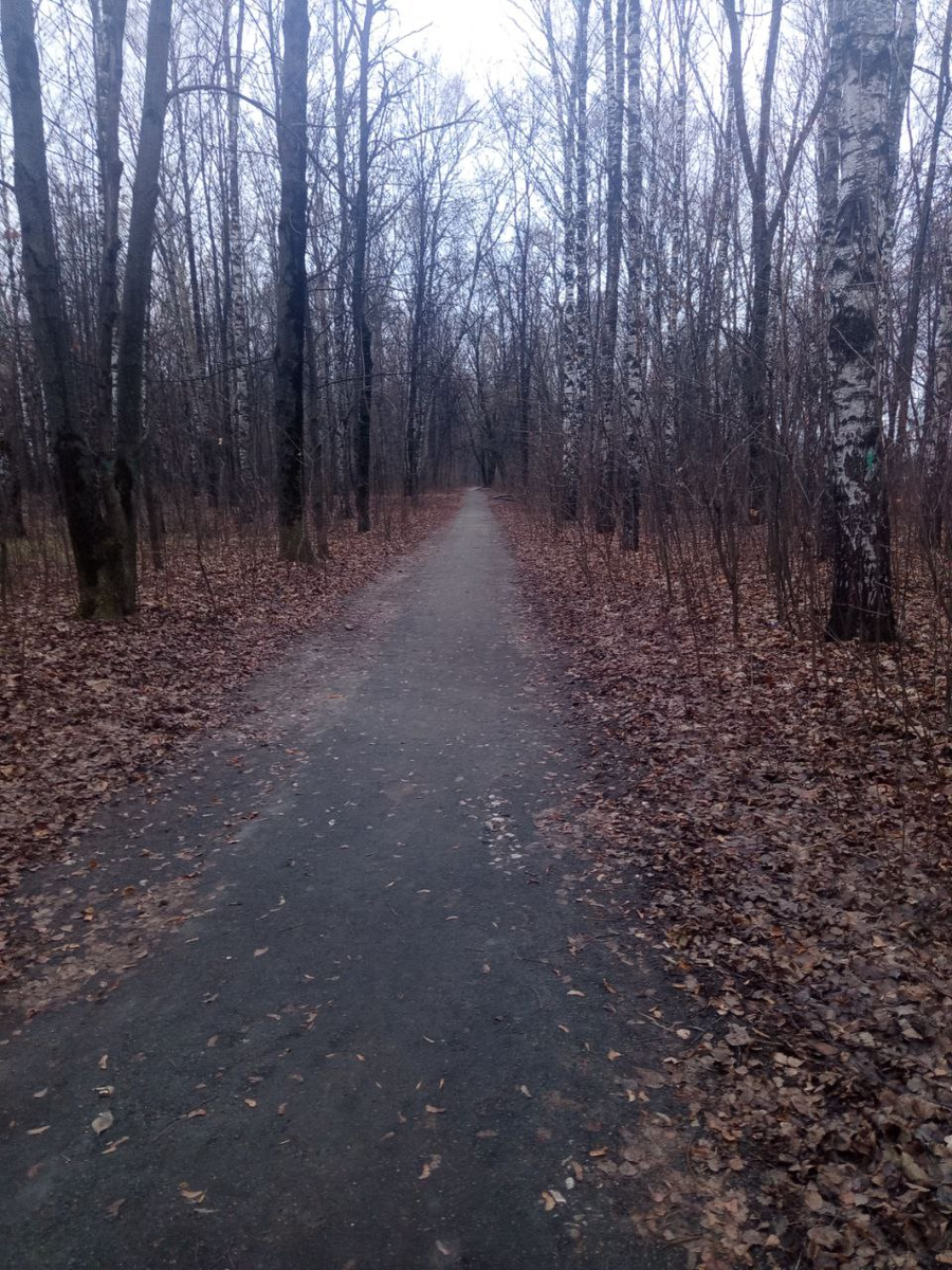 фото автора канала