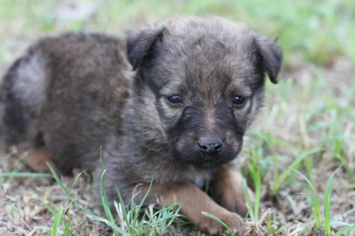 Фото с www.facebook.com для примера