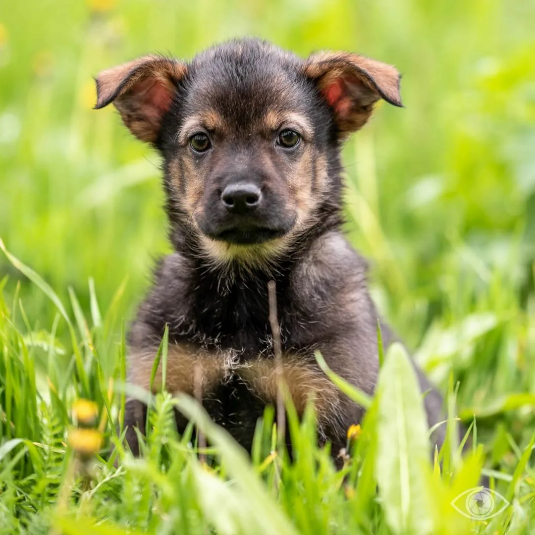 Фото с www.instagram.com для примера