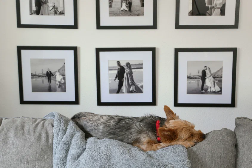 Фото на обложке: Giorgio Trovato / Unsplash