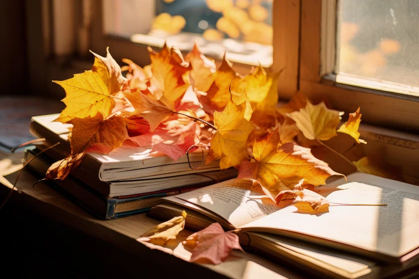 Фото на обложке: freepik / Freepik