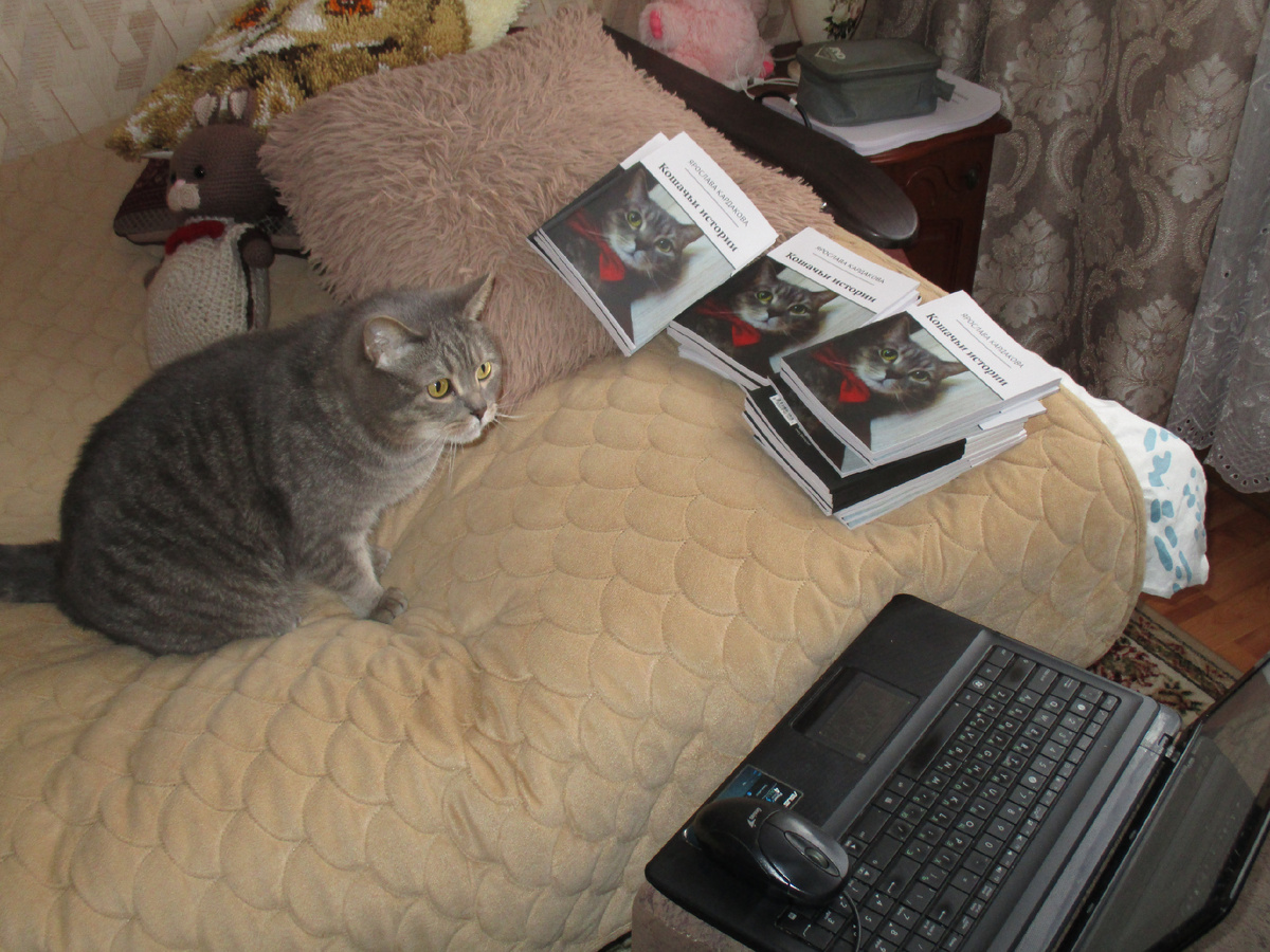  Кот Василий участвовал  с рассказом Скворечник и Балалайка