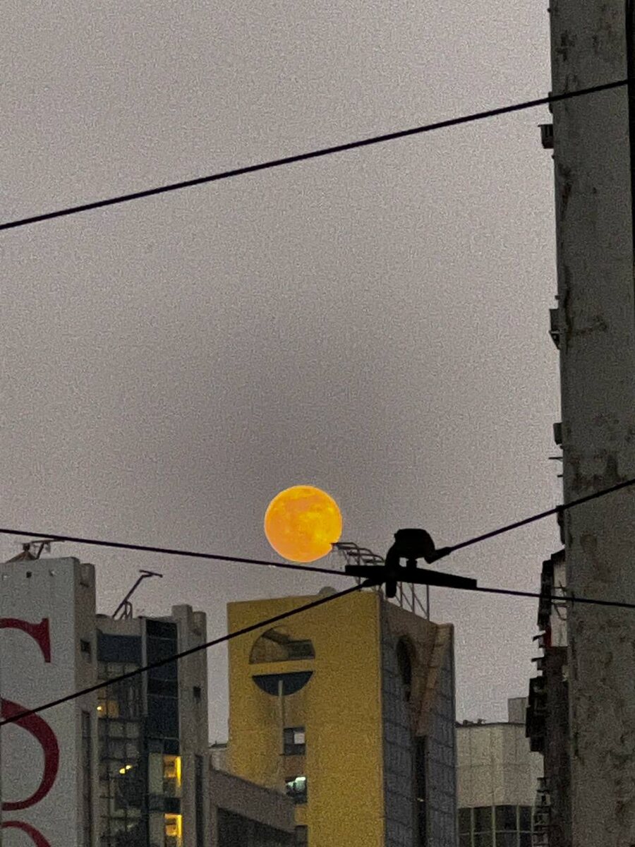 Китай. вечер. Фото дочери автора