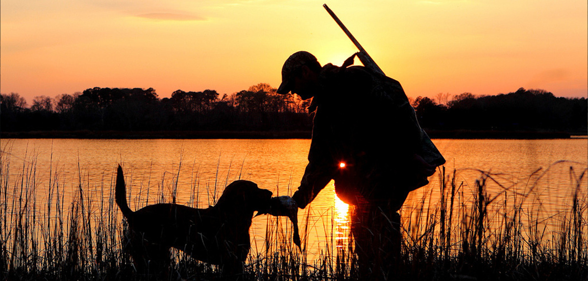 Фотография из интернета
