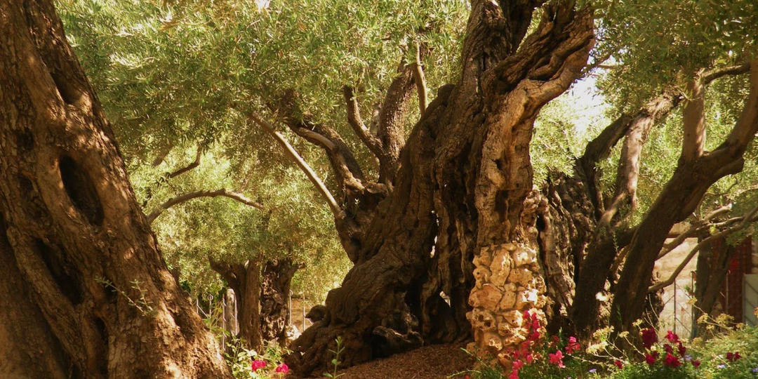 «Посидите тут…»: о тех, кому выпадает ожидание