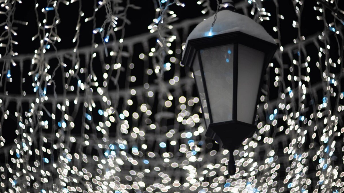    Фото: Сергей Зубков/«Ямал-Медиа»