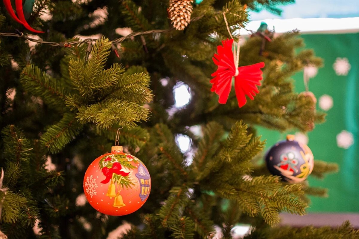    В тульской Ясной Поляне открыли новогоднюю ёлку