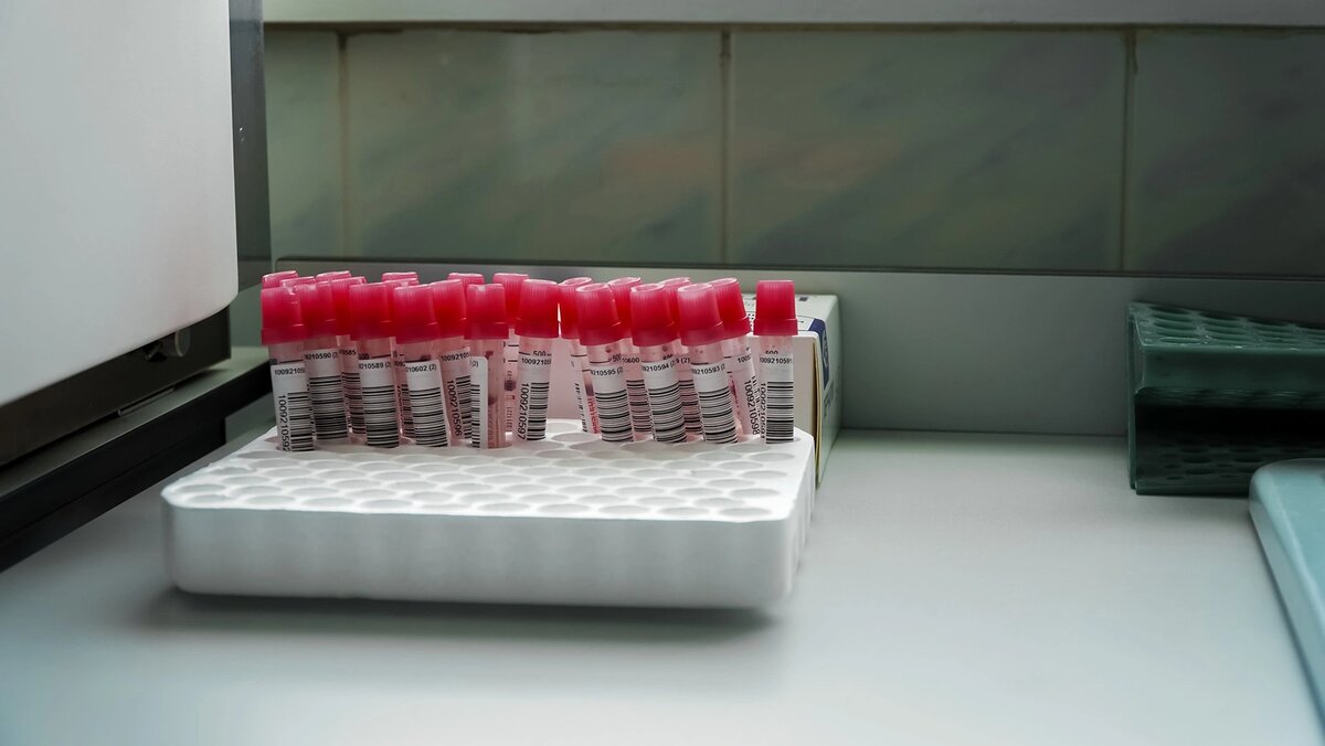    Фото: Андрей Закоморный