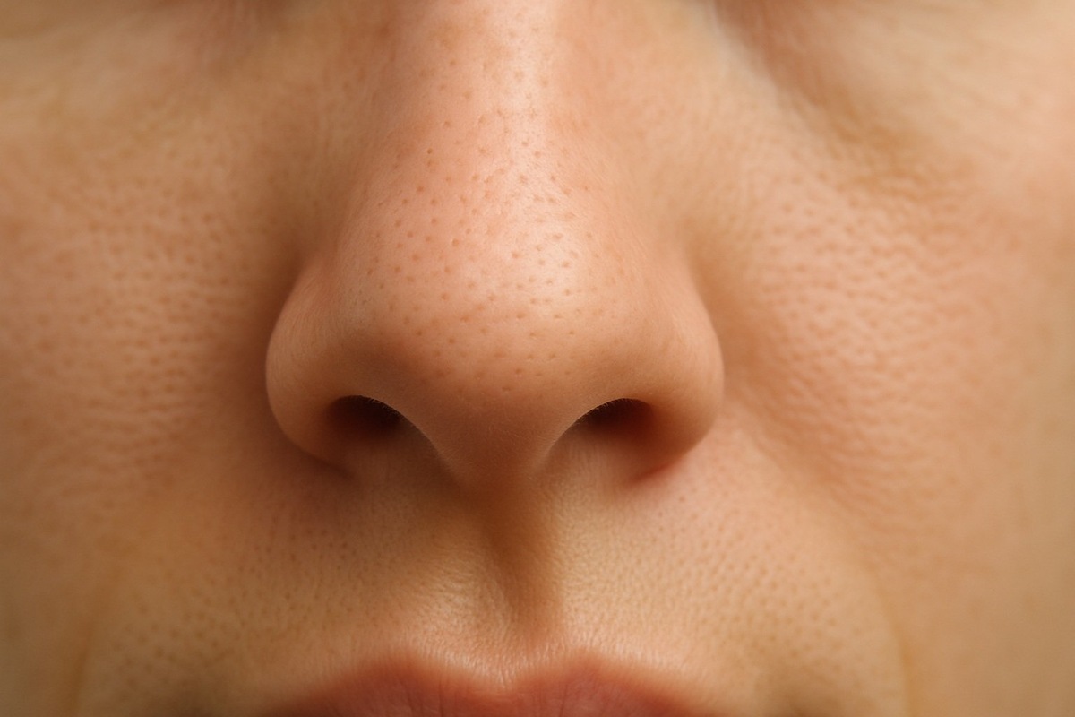    Каждая ноздря выполняет свою функцию